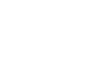 The MEDIA ANT